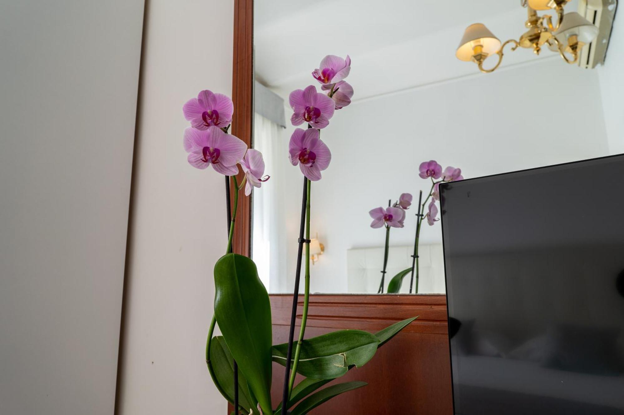 Hotel Gabriella Rzym Zewnętrze zdjęcie